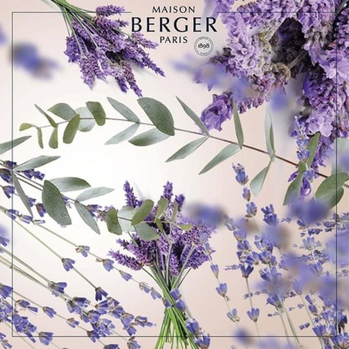 Produktbild Maison Berger Duft Champs de Lavande (1000 ml)