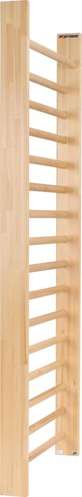 Actual product image Sport-Thieme Wall bars single panel, 240x100 cm