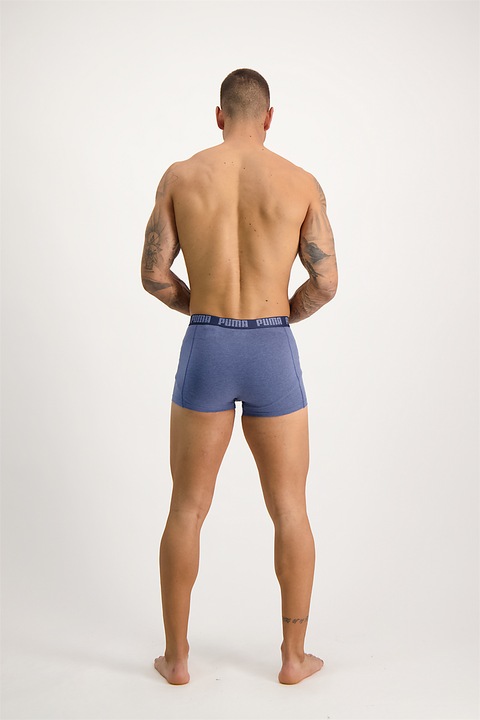 Actual product image Puma Basic Boxer (L, pack of 2)
