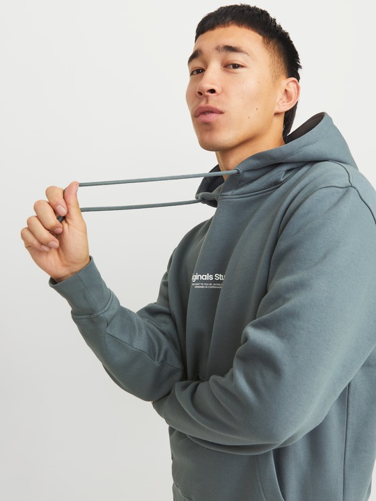 Image du produit Jack & Jones Imprimé Sweat à capuche Sweat à capuche (XXL)