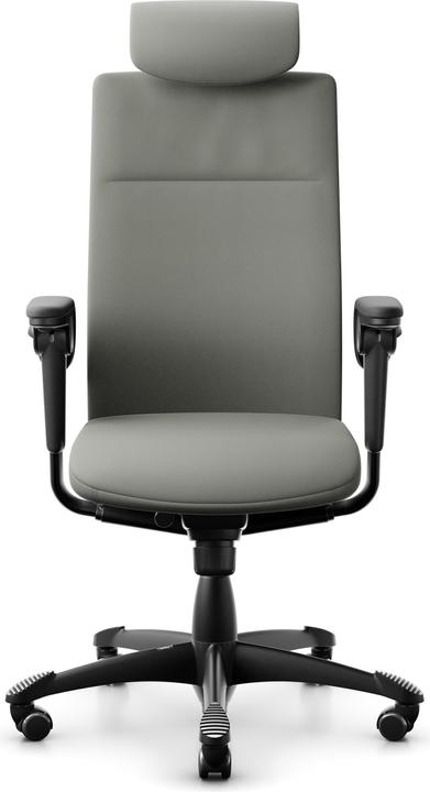 Produktbild HAG Tribute 9031 LEDER mit Kopfstütze (41 - 52 cm)