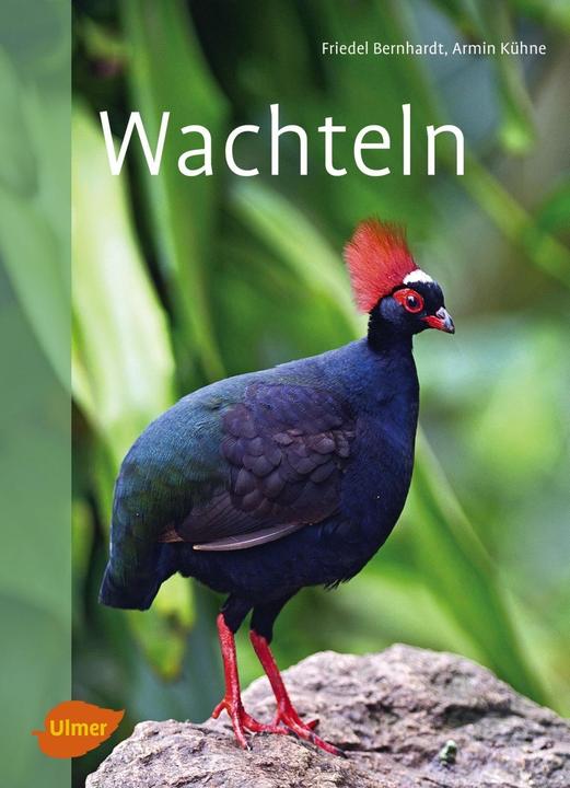 Produktbild Wachteln (Deutsch, Armin Kühne, Friedel Bernhardt, 2016)