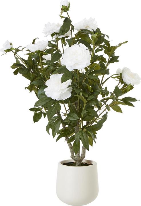 Image du produit Hill Interiors - Plante artificielle en pot (106 cm)