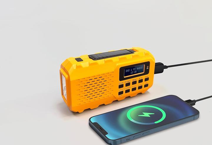 Actual product image Newtro Multifunctional crank radio (DAB, FM)