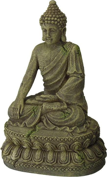 Actual product image EBI Aqua Della Bayon Buddha 3 (Embellishment, other items)