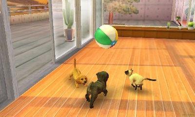 Produktbild Nintendo Nintendogs Cats: Zwergpudel (3DS, DE)