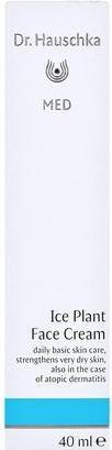 Actual product image Dr. Hauschka DR. HAUSCHKA Ice Plant Face Cream krem do twarzy z przypołudnika 40ml (40 ml)