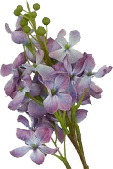 Image du produit Hill Interiors - Fleur artificielle THE NATURAL GARDEN COLLECTION (75 cm)