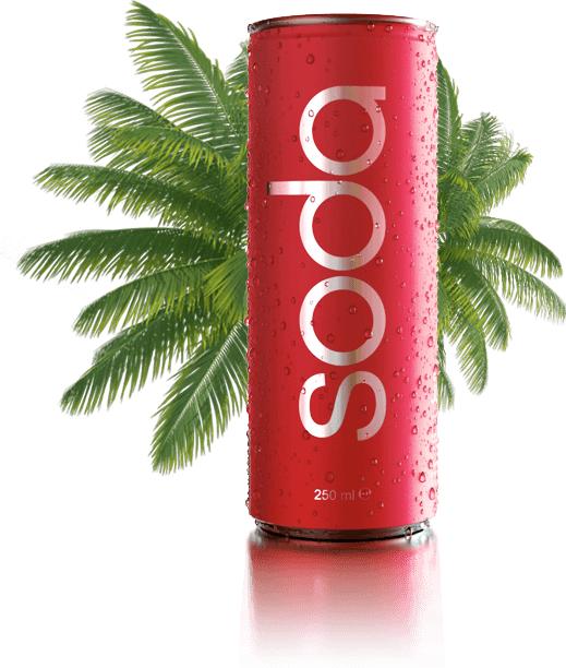 Actual product image Paido Soda Raspberry (24 x 25 cl)