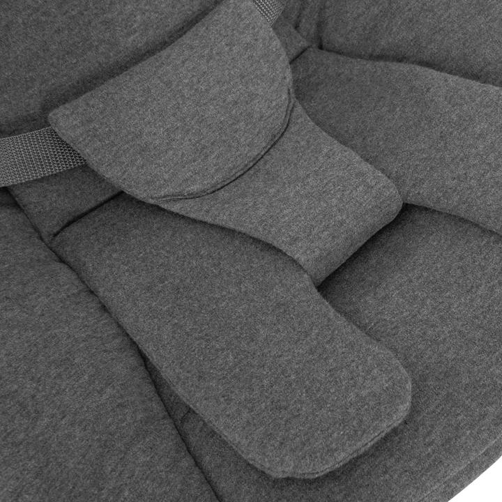 Produktbild Hauck Alpha Bouncer Premium (Hochstuhl)