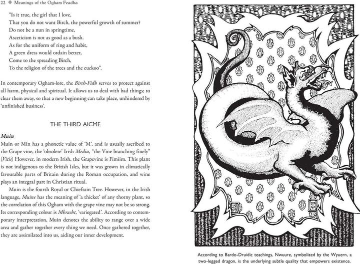 Immagine prodotto Celtic Tree Alphabets (Inglese, Nigel Pennick, 2024)