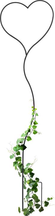 Produktbild Relaxdays Rankhilfe (1 cm, 38 cm)