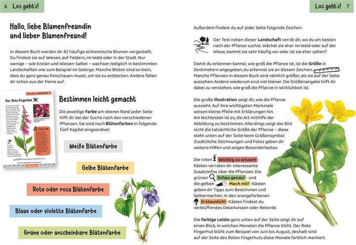 Nutritional values and ingredients Kosmos Was blüht denn da? Kindernaturführer (German, Heike Herrmann, Ursula Stichmann-Marny, 2022)