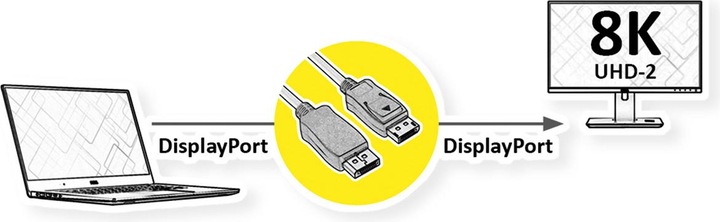 Produktbild Roline DisplayPort-Kabel DP2.0 DP-DP ST/ST 1m (1 m, DisplayPort)