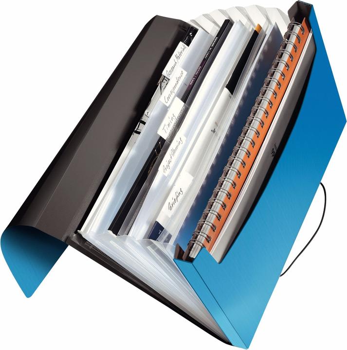 Actual product image Leitz Solid project folder (A4, 1x)