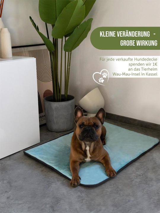 Actual product image Aspero Dog blanket Lund - 8613 (Dog)