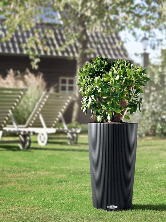 Produktbild Lechuza Cilindro 32 (32 x 56 cm)