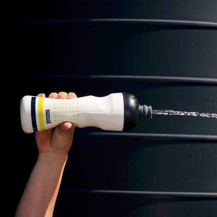 Actual product image Sigg Pulsar (0.75 l)