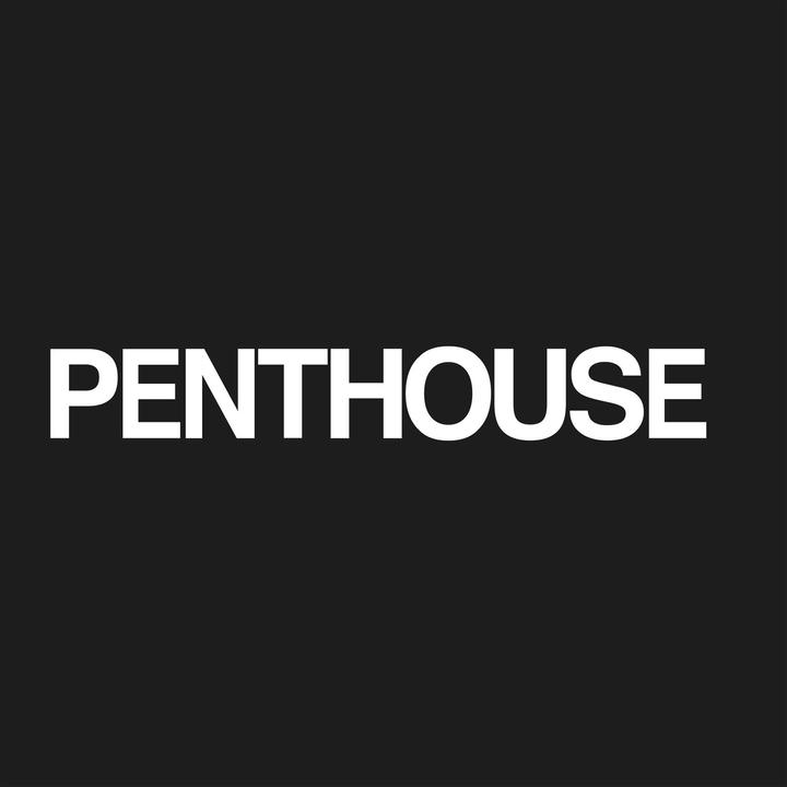 Produktbild Penthouse TShirt (L)