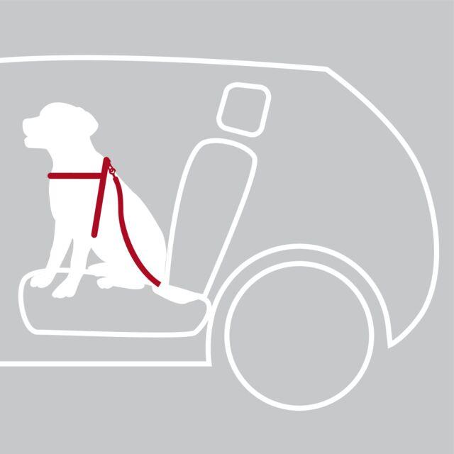 Produktbild Trixie Auto-Geschirr (L, Hund)