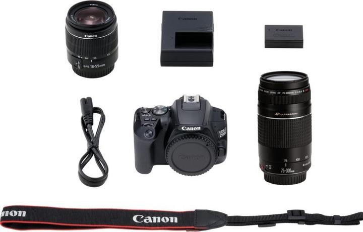 Actual product image Canon EOS 250D Kit (24.10 Mpx, APS-C / DX)