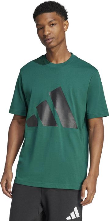 Actual product image adidas Essentials Big Logo (L)