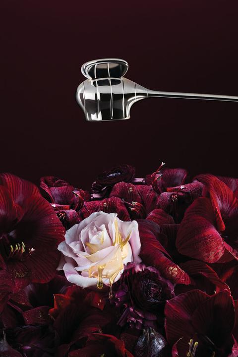 Produktbild Alessi The Five Seasons Bzzz (14.5 x 3.5 cm)