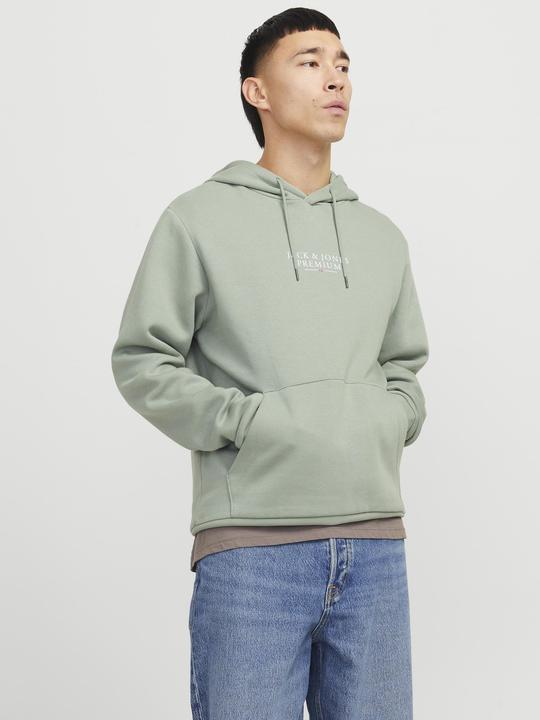 Produktbild Jack & Jones Jprbluarchie Sweat Hood Noos (XL)