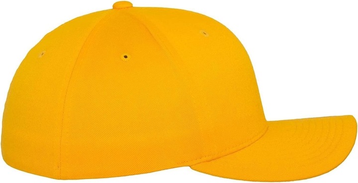 Actual product image Flexfit Baseball cap (One size)