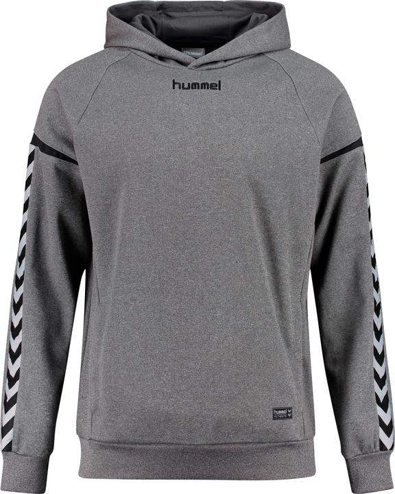 Produktbild hummel Authentic Charge Poly Hoodie (128)