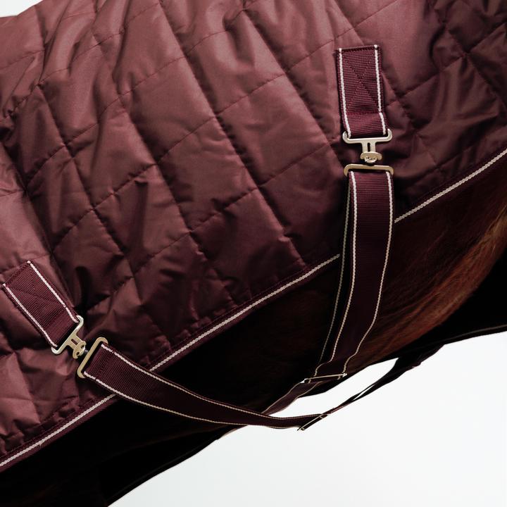 Image du produit Fouganza Combo (165 cm)