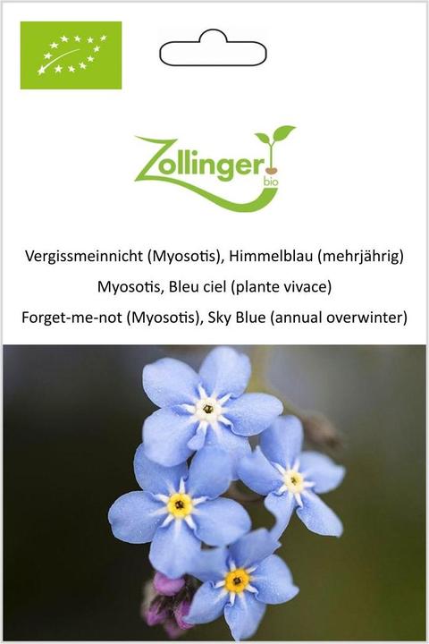 Actual product image Zollinger Bio Forget-me-not (Myosotis), sky blue (perennial) (Flower seeds)