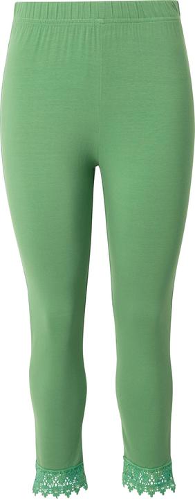 verde muschio classico