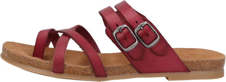 Image du produit Cosmos Comfort Tige d'orteil (36)