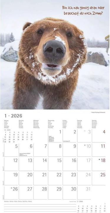 Produktbild Alpha Edition Funny Animals 2026