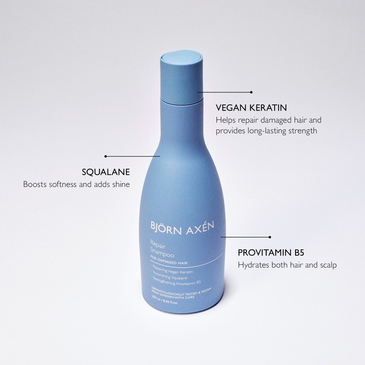 Image du produit Björn Axen Repair - Shampoo (250 ml, Shampoing liquide)