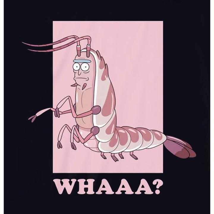 Produktbild Rick And Morty Tshirt (XL)