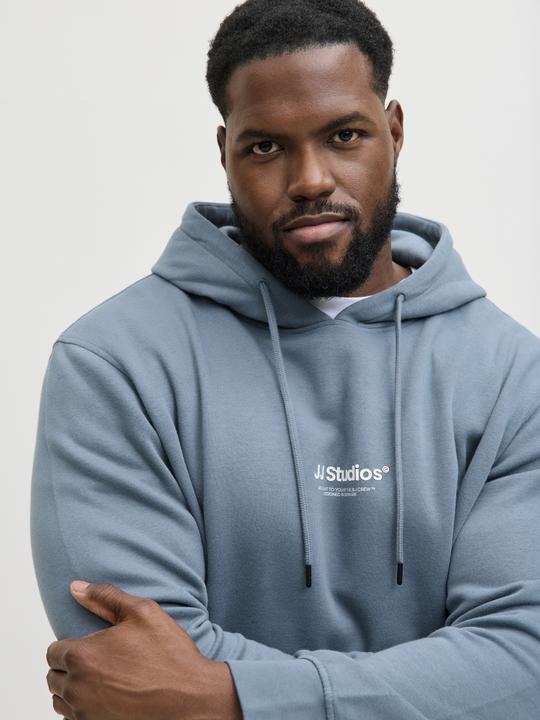 Produktbild Jack & Jones Jjesoho Sweat Hood Noos Pls (4XL)