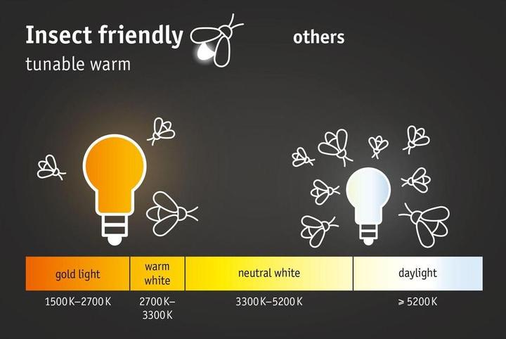 Produktbild Paulmann Ikosea (560 lm, IP44)