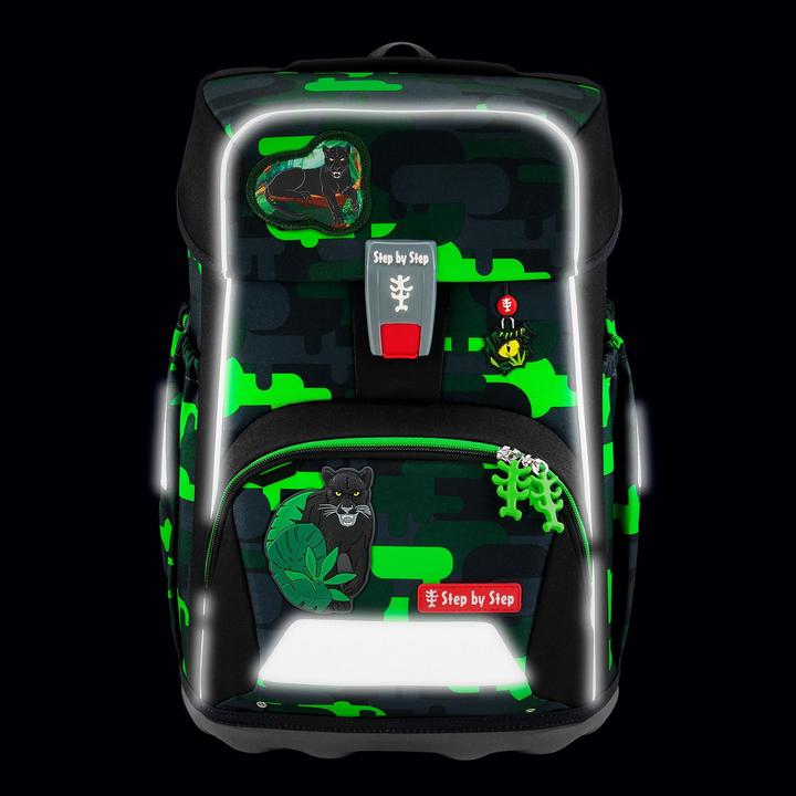 Actual product image Step by Step Black Cat Chiko (23 l)