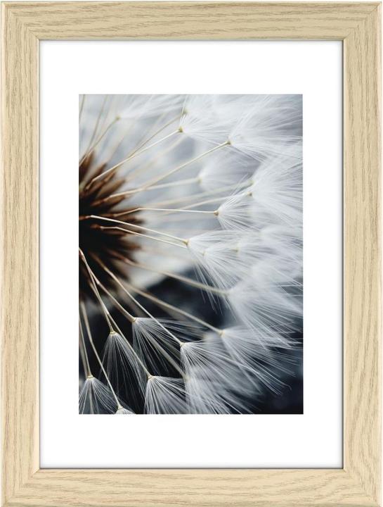 Actual product image Hama breeze (13 x 18 cm)
