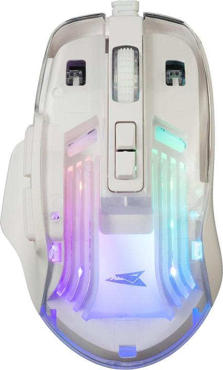 Actual product image Baracuda BGM-062 Anglerfish White (Cable)