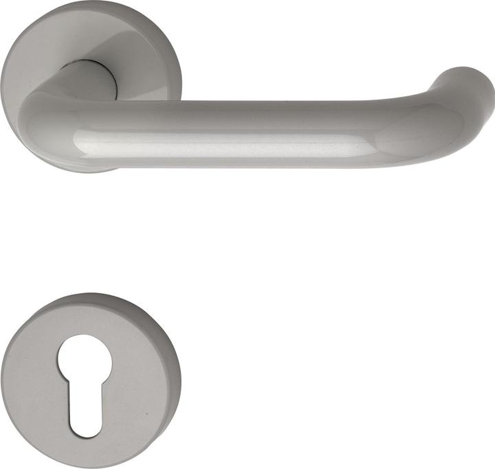 Hewi Door fitting FH 111.23 R | on rose PZ | polyamide, rock grey (Door set)