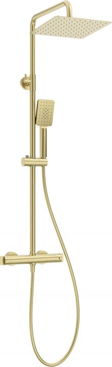 Deante Rain shower with thermostatic shower mixer