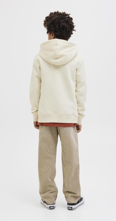 Immagine prodotto Jack & Jones Jorfrederiksberg Box Sci Sw.H Sn Unb Jnr (152)