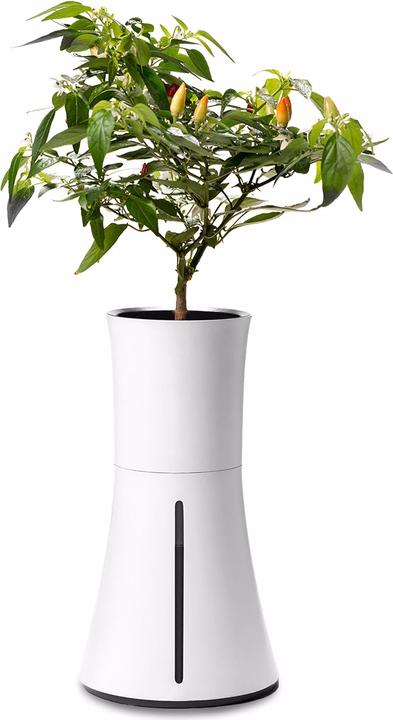 Actual product image Botanium Self-watering pot (25 x 15 cm)