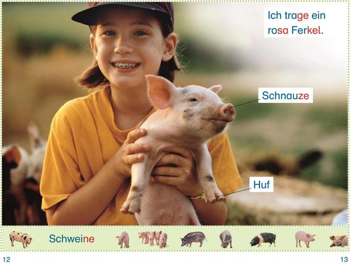 Produktbild SUPERLESER! Lina im Streichelzoo (Deutsch, Simone Heller, 2022)
