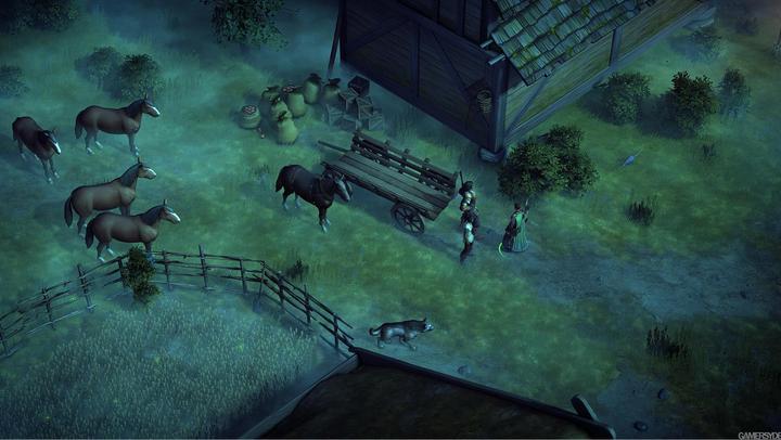 Produktbild Deep Silver Pathfinder: Kingmaker (PS4, DE)