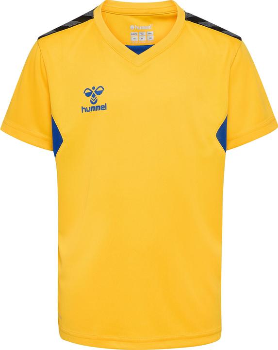 Image du produit hummel Hmlauthentic Pl Jersey S/S Kids (128)