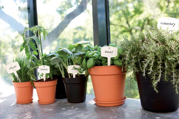Actual product image Elho Green Basics (27 cm)